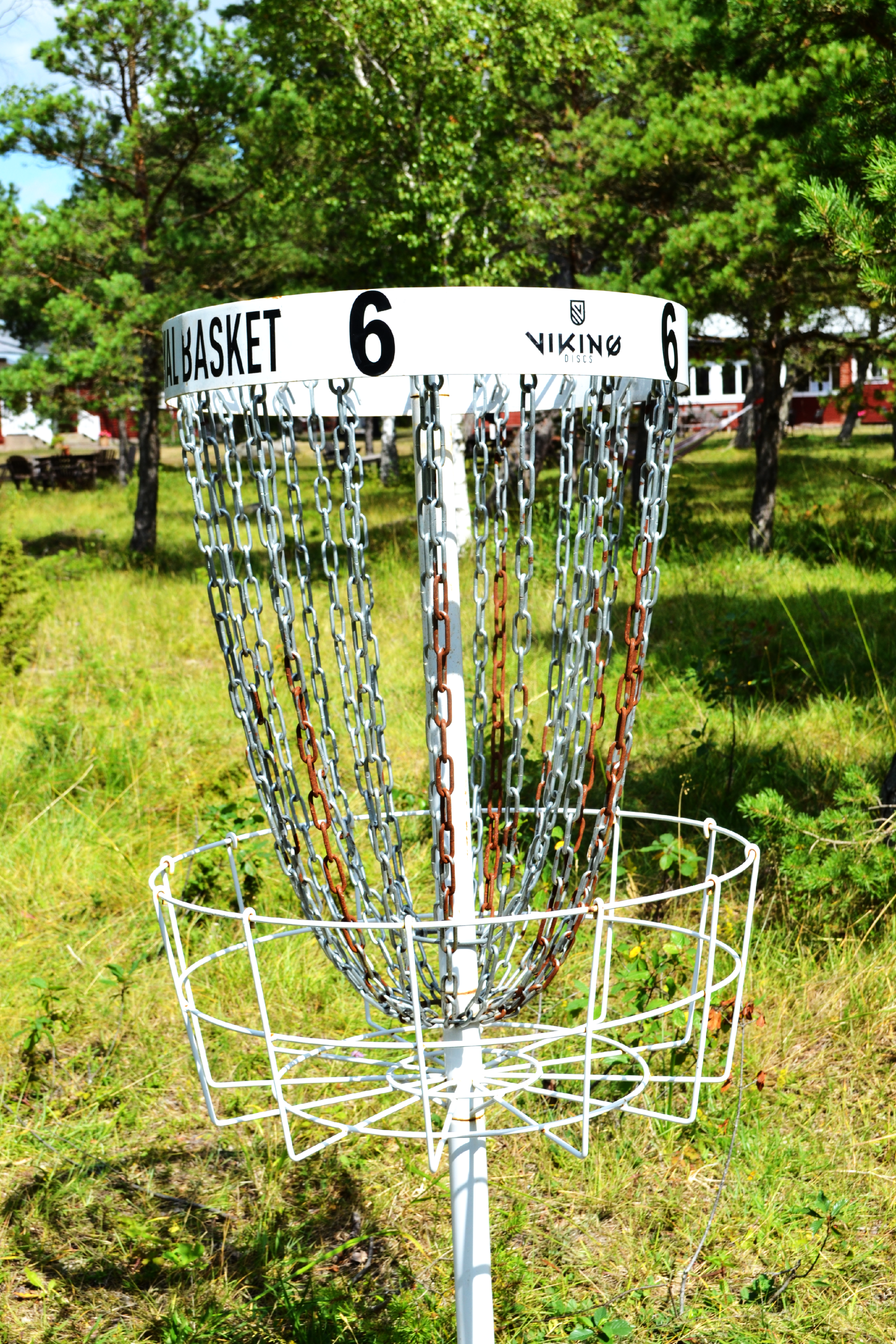 Discgolfkorg på Snäckans discgolfbana