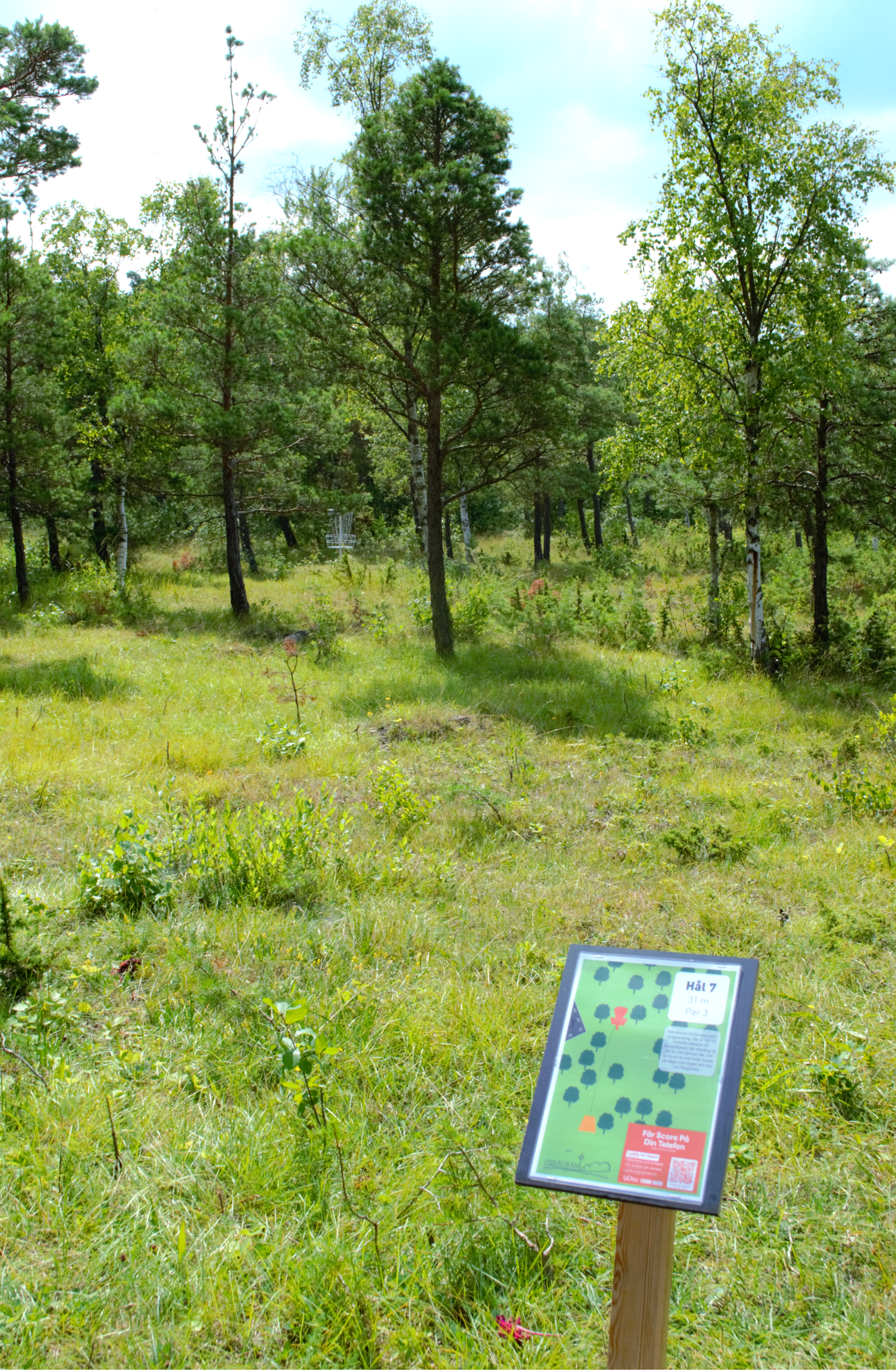 Discgolf på Snäckan – 3‑hålsbana för nybörjare
